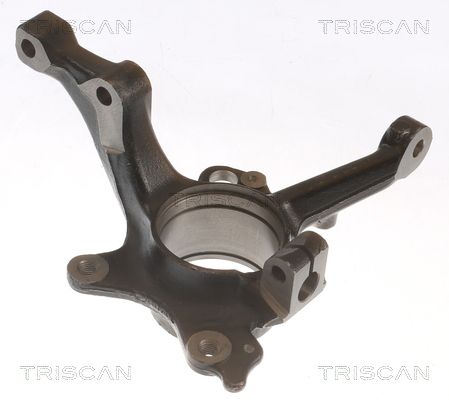 Achsschenkel Radlagergehäuse TRISCAN 8500 29718