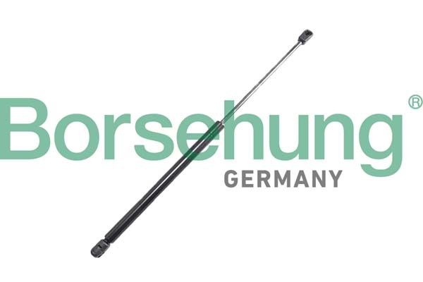 Gasfeder, Koffer-/Laderaum BORSEHUNG B12063