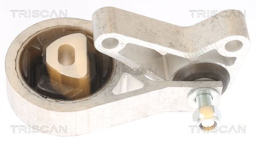 Motorlager TRISCAN 8505 15106