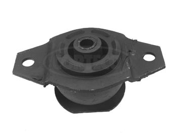Lagerung, Motor CORTECO 80000296