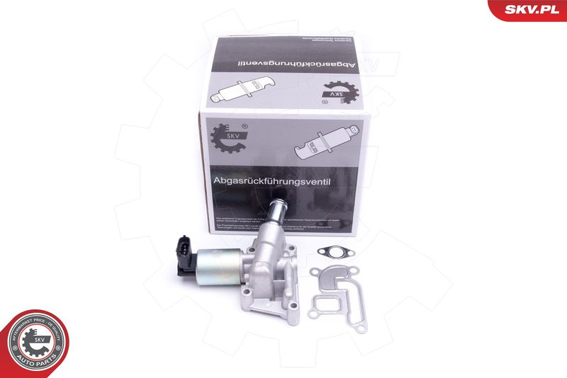 AGR-Ventil ESEN SKV 14SKV207