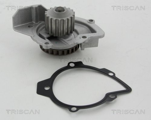 Wasserpumpe TRISCAN 8600 10079