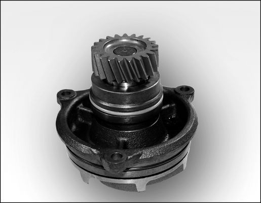 Wasserpumpe, Motorkühlung HEPU P1171
