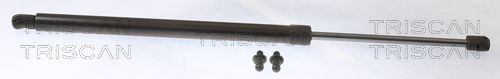 Heckklappendämpfer TRISCAN 8710 40245