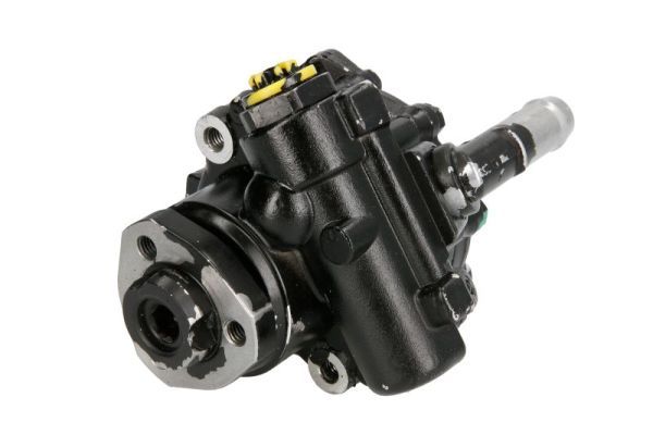 Pump, styrservo LAUBER 55.1574
