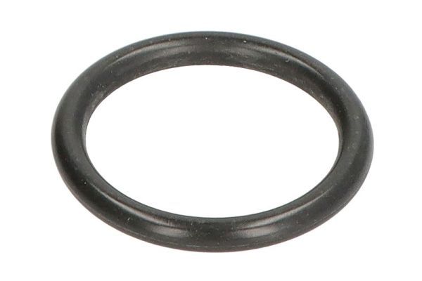 Dichtung, Schaltgetriebe ENGITECH ENT030197