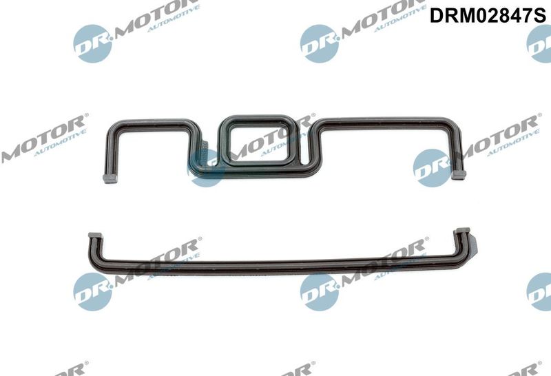 Dichtung Steuergehäuse Dr.Motor Automotive DRM02847S