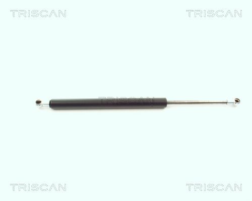 Heckklappendämpfer TRISCAN 8710 11216
