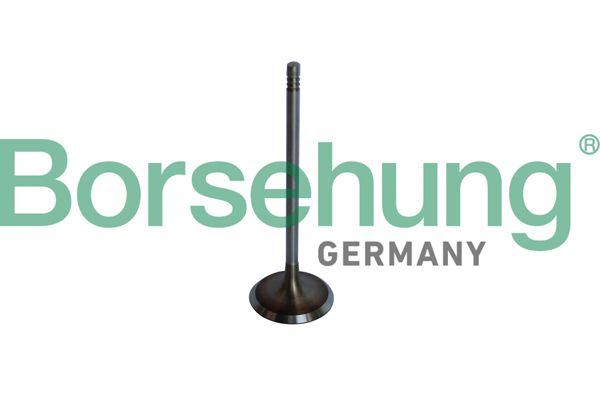 Einlassventil BORSEHUNG B10325