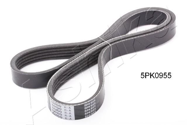 Keilrippenriemen Ashika 112-5PK955
