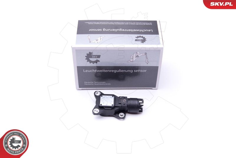 Sensor, Exzenterwelle (variabler Ventilhub) ESEN SKV 17SKV469