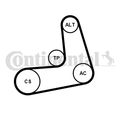 Keilrippenriemensatz CONTINENTAL CTAM 6PK1005K2