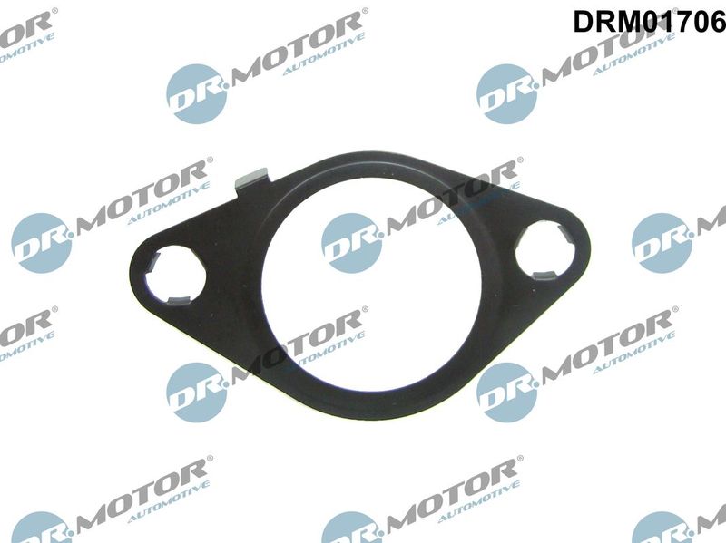 Dichtung, AGR-Ventil DR.MOTOR AUTOMOTIVE DRM01706