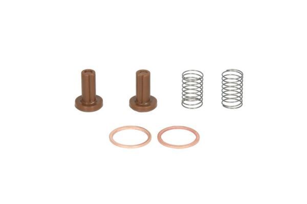 Reparatursatz, Kraftstoffpumpe ENGITECH ENT200008