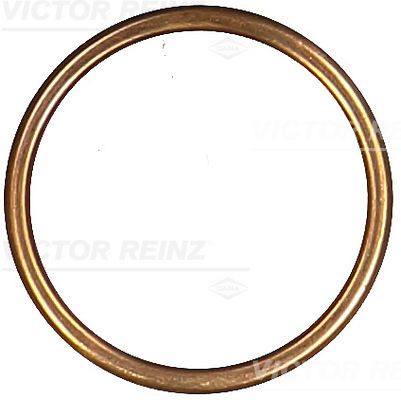 Dichtring VICTOR REINZ 41-72081-30