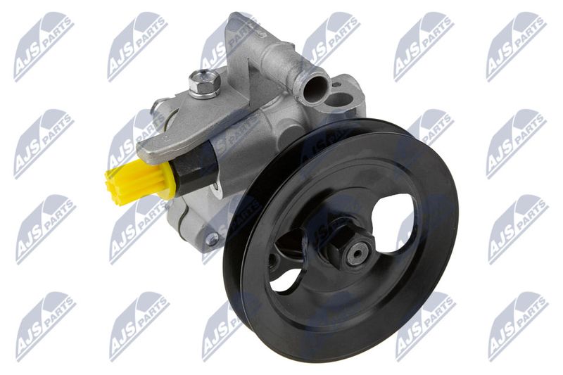 Servopumpe Hydraulikpumpe NTY SPW-HY-503