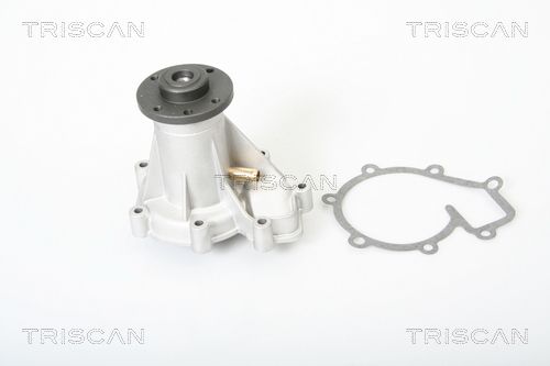 Wasserpumpe TRISCAN 8600 23838