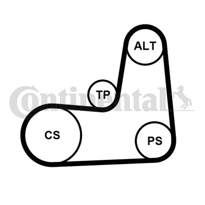 Keilrippenriemensatz CONTINENTAL CTAM 5pk1135k2