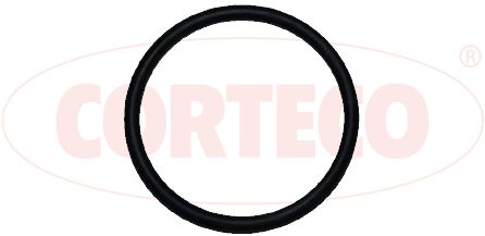 Dichtung, Ansaugkrümmer CORTECO 026999H