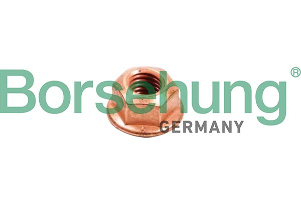 Schraube, Abgasanlage BORSEHUNG B10638