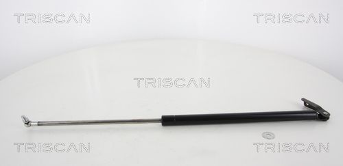 Heckklappendämpfer TRISCAN 8710 68206