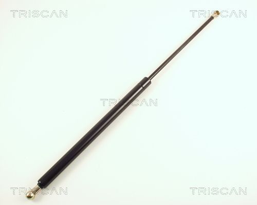 Heckklappendämpfer TRISCAN 8710 16206