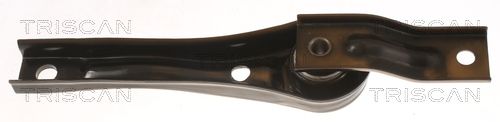 Motorlager TRISCAN 8505 29136