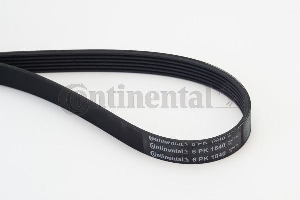 Keilrippenriemen CONTINENTAL CTAM 6PK1840
