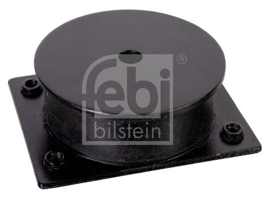 Lagerung, Motor FEBI BILSTEIN 174154