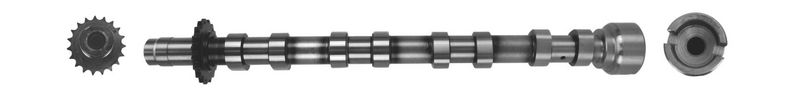 Nockenwelle AE CAM1019