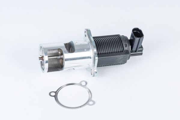 AGR-Ventil BorgWarner 710723D