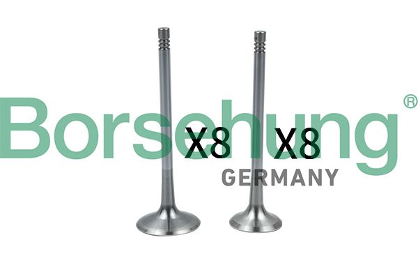 Einlassventil BORSEHUNG B18637