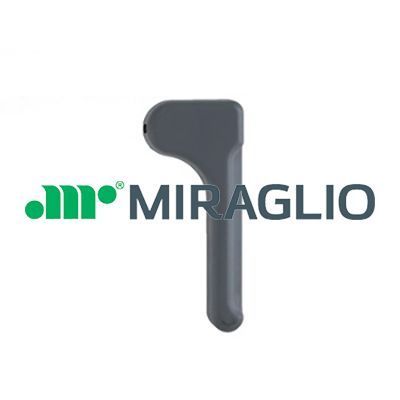 Türgriff, Innenausstattung MIRAGLIO 60/333