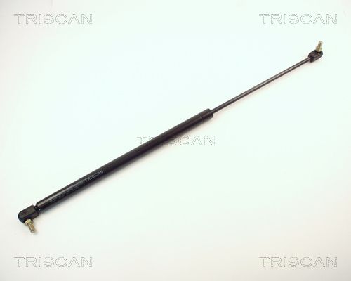 Heckklappendämpfer TRISCAN 8710 14206