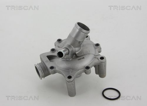 Wasserpumpe TRISCAN 8600 11035