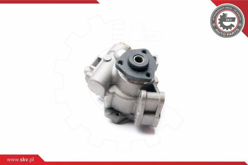 Servopumpe Hydraulikpumpe ESEN SKV 10SKV236