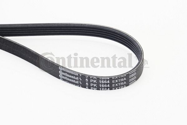 Keilrippenriemen CONTINENTAL CTAM 5PK1664EXTRA