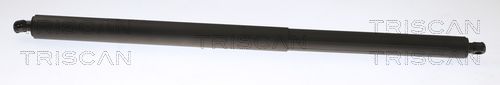 Heckklappendämpfer TRISCAN 8710 81201