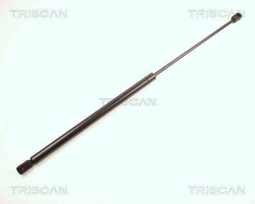 Heckklappendämpfer TRISCAN 8710 25210