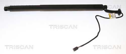 Heckklappendämpfer TRISCAN 8710 27303