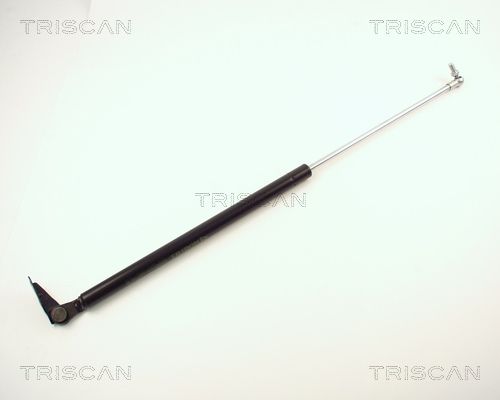 Heckklappendämpfer TRISCAN 8710 13246