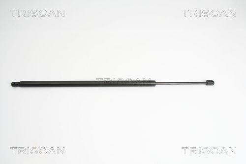 Heckklappendämpfer TRISCAN 8710 10209