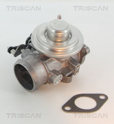 AGR-Ventil TRISCAN 881329201