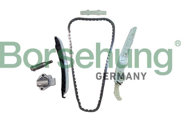 Steuerkettensatz BORSEHUNG B12555