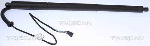 Gasfeder, Koffer-/Laderaum TRISCAN 871011305