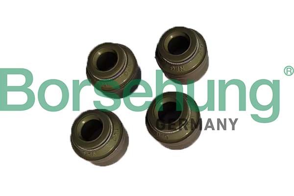 Dichtring, Ventilschaft BORSEHUNG B12535