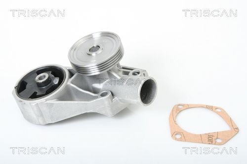 Wasserpumpe TRISCAN 8600 67001