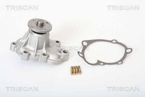 Wasserpumpe TRISCAN 8600 13863