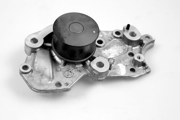 Wasserpumpe, Motorkühlung HEPU P7741