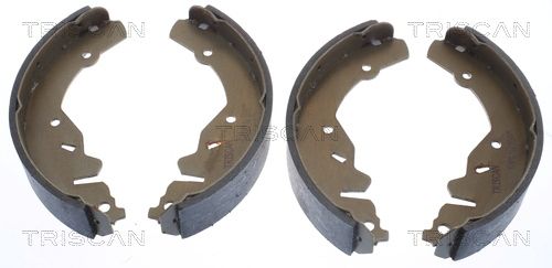 Bremsbackensatz TRISCAN 8100 80002